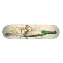 VOGEL PERSONALISIERTE SKATEBOARDDECKS