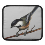 Vögel, Zaunkönig, Chickadee: Realismus-freihändige iPad Sleeve