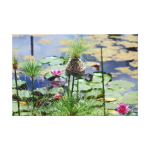 Vogelnest in dem See mit Lilien Leinwand Druck