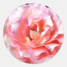 Völlig blühende rosa Rose Runder Sticker