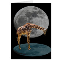 VOLLMOND-GIRAFFE KARTE