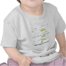 Von Gen zu Protein T-shirts