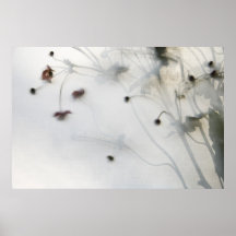 von hinten beleuchtetes japanisches Anemonenplakat