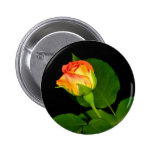Voodoo-Rose Button