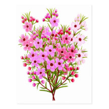 Wachs-Blumen-Blumenstrauß-Postkarte