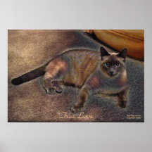 WAHRES LIEBE Kitty-Kunst-Plakat