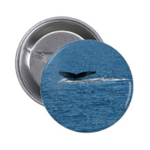 Wal-Schwanz Button