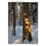 Wald im Winter Karte