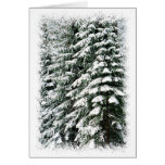 Wald im Winter Karten