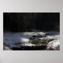 Wald Snowy Oregon, Fox-Nebenfluss 12 Plakat