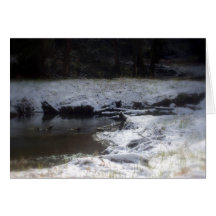 Wald Snowy Oregon, Fox-Nebenfluss 2 Grußkarten