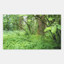 Waldfrühling Rechtecksticker