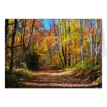 Waldherbst Grußkarten