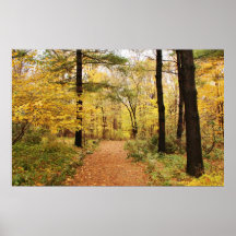 Waldhinterweg Plakat