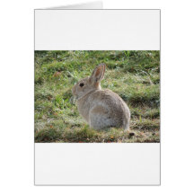 Waldkaninchen-Kaninchen Grußkarte