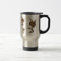 Waldsteiger Frosch Kaffee Tassen