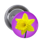 Waliser-Narzisse - III - rund Anstecknadelbutton