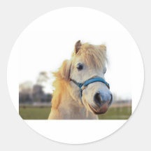 Waliser-Pony Runder Aufkleber