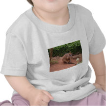 Wallaby Shirts