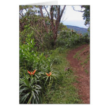 Wanderweg auf O'ahu, Hawai'i Karten