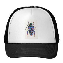 Wanze 009 kult mützen