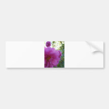 Wanze im Rosa Autosticker