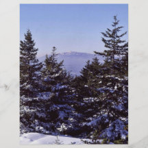 Wapack nationaler Tier-Schutz, Winter landschaftli Personalisierte Flyer