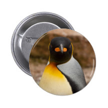 Was?!!! Anstecknadelbuttons