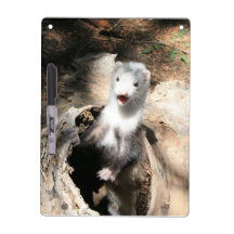 Was herauf trockenes Löschen-Brett ist Memoboard