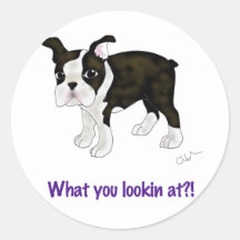Was Sie betrachtend? Sticker