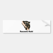 Waschbär-Regel! Autosticker