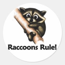 Waschbär-Regel! Stickers