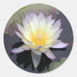 Wasser-Lilie Runder Sticker
