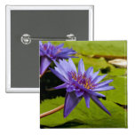 Wasser-Lilien-Knopf Anstecknadelbuttons