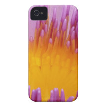 WASSER LILLY Case-Mate iPhone 4 HÜLLEN