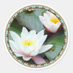 Wasser Lilly - runder Aufkleber