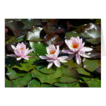 Wasser Lilys für Mamma karten