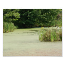 Wasser-Weg 10 x photographischer Druck 8