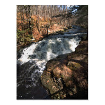 Wasserfall - Bushkill Fälle Postkarten