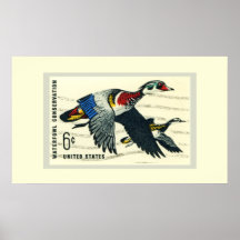 Wasservogel-Erhaltung Poster
