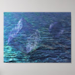 Wasserwelt Plakat