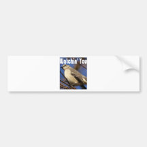 Watchin Sie Autosticker