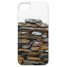 Weathered Stone Wall iPhone 5 Covers