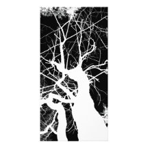 WEBBY BAUM-SCHWARZWEISS-NEGATIV PHOTOKARTE