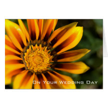 Wedding Glückwunsch des Gazania-| Grußkarte