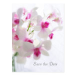 Wedding. Weiße Orchideen. Datum freihalten Postkarte