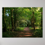 Weg im Holz Posterdruck