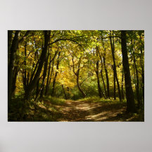 Weg Posterdrucke
