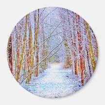 Weg und Bäume in Schnee Magneten