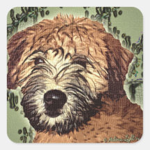 Weich-Überzogener Wheaten Terrier-Welpe mit nassem Sticker